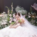 보코 서울 강남 이미지