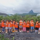 진안어린이집 이미지