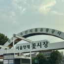 10-1. 양재꽃시장에서 웨딩촬영용 셀프 부케 만들기(안개꽃, 장미, 거베라)