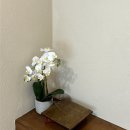 스테이유을 이미지