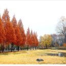 경기도 수원시 팔달구 매산로116번길 이미지