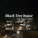 블랙트리하우스 | 대부도 독채펜션 블랙트리하우스 후기 (feat. 바베큐, 불멍)