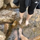세를 | 속리산 문장대 세 번째 등산｜화북탐방지원센터 최단코스 후기