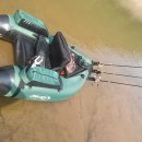 원벨리캣 이미지