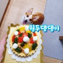 원두댕댕이 이미지