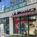 덕현초 앞 | 호계동미용실 이프헤어 새치커버 염색후기