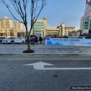 시 지정게시대(저단형 게시대) 이미지