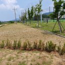 생활환경 공원 이미지