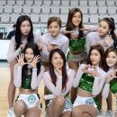 팀베스트최고체육관 이미지