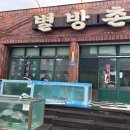 별방촌 | 제주도 로컬푸드 맛집 &#39;별방촌&#39; 가성비 좋고 해장하기 좋은 곳