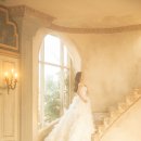 크리드 샷 이미지