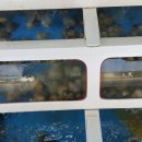 땅끝바다횟집 이미지