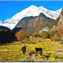 샹그릴라 이미지