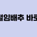 2024년 평창 고랭지 김치 절임배추 농가 배추싸게사는 꿀팁 이미지