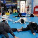 국가대표용인대박사태권도장 이미지