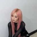 핑크헤어라인 이미지