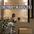 더스마일 독채 풀빌라 | 춘천애견동반펜션 사나레 50평 마당 자쿠지 있는 독채 풀빌라 후기