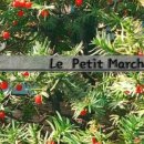 쁘띠살롱 이미지