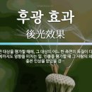 수도권 분양시장 흔드는 2가지 후광효과 ‘GTX 효과’·'반도체 효과’ 이미지