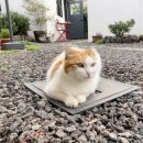 노리민박 이미지