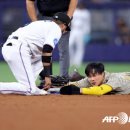 (주)포르테스