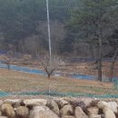 연산부자부동산중개사무소 이미지