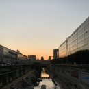 동대문역(1) | 동대문역 라멘맛집 [초이라멘] 내돈내먹 후기 🍜