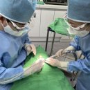 성남리더스치과의원 이미지