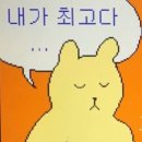 욜리욜리