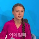 그레타 이미지