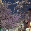 지에스(GS)25 홍대솔내길 이미지