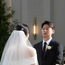 미무아르 이미지