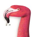 시그니아독일보청기 송파센터 이미지