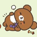 챠이 이미지
