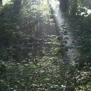 고산제 | 세종시 운주산 아침산책.