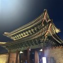 고요한밤 | 고요한 밤, 빛으로 물든 창경궁 야간개장 산책 후기