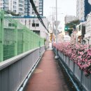 매그네이트 이미지