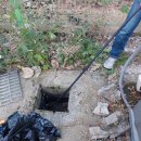 은행영사정로 이미지