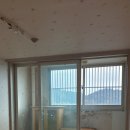 들말흥한타운 이미지