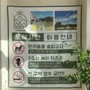 [청주 카페] 넓은 야외공간에서 즐기는 과일 디저트 &amp; 다양한 빵 &#34;포레시안 카페&#34; 후기