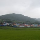 회진농장 이미지