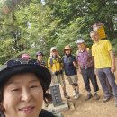 서정리 이미지