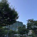 배떡&피씨방 | 아기랑 홍천비발디파크 2박3일 후기(방 선정팁, 놀거리 먹거리추천)
