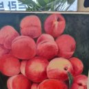 표현하는 즐거움, 유화 이미지