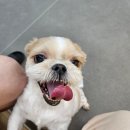 라이크멍 이미지