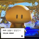 용건 | [대전] 2025 꿈돌이 팝업전시 YELLOW DREAM 후기 (짱구는 못말려 콜라보)