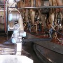 아성농장 이미지