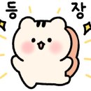 루피쉬스튜디오 이미지