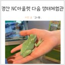 다솜생태체험관 이미지