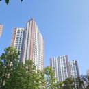 한들물빛도시 예미지아파트 앞 이미지